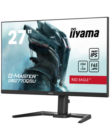 Iiyama G-Master...